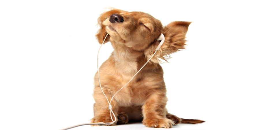 Positioning, Messaging & Communication